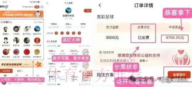 世界杯竞猜：如何选择更有保障的购彩平台